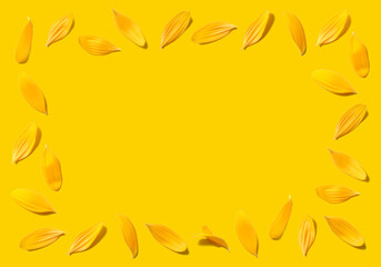 黄色で揃えた背景がおしゃれ！ひまわりの花びらフレーム
