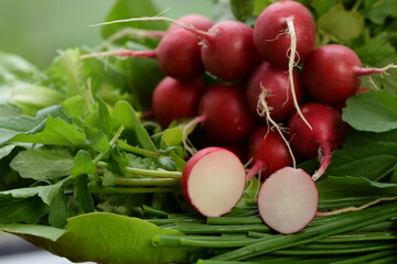 Bunch of radishes , radish sliced,  rocket and chives, fresh new organic vegetables,  first spring vegetables  from organic farm. 