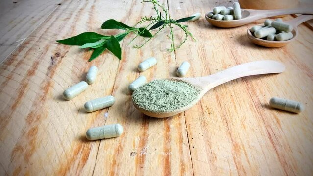 Medical herb - Andrographis paniculata or Fa thalai chon in Thai use for relieve flue, cough and sore throat in covid-19 patient.Andrographis paniculata powder fell onto the spoon.