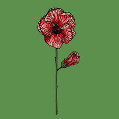 Vector illustration with ink red colored flower