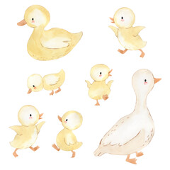 Watercolor duck. Illustration for kids