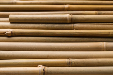 Dry bamboo sticks as background, closeup view