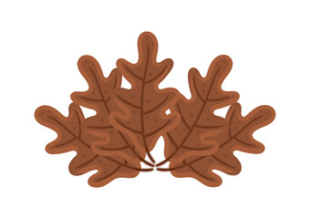 Obraz premium illustration of brown leaves with autumn theme, on white background