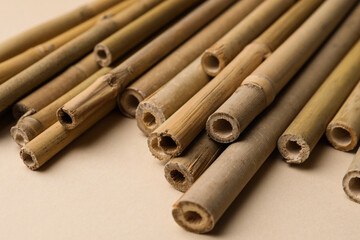 Dry bamboo sticks on beige background, closeup