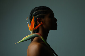 Close-up portrait of African young woman with paradise flower posing indoor. 