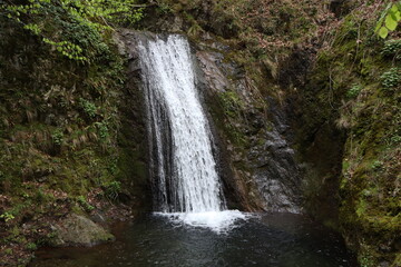 Fototapeta na wymiar view on cascada fecioara maria waterfall in National Park called Nationalpark Domogled-Valea Cernei