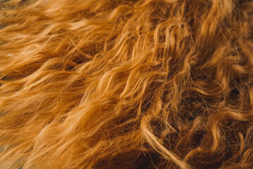 Textured image of redhead hair