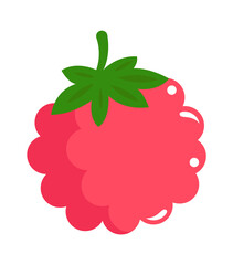 Raspberries fruit. Healthy Food. Vector illustration