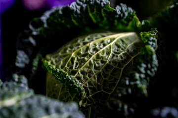 Kapusta, Włoska Kapusta, włoskie kapusty, italian cabbage © Follow the Sun