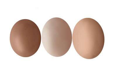3 eggs in 3 tones on white background, decoration concept, easter, illustration, healthy food with clipping paths