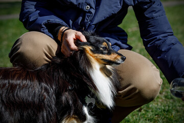 The owner scratches the dog behind the ear.