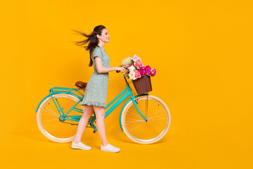 Photo of cute adorable lady dressed green dress driving cycle pink bunch empty space isolated yellow color background