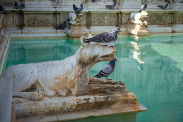 Fonte Gaia, white marble fountain with sculptures in Piazza del Campo (Campo Square) in Siena, Italy.