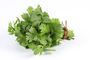 Fresh green coriander on a white background, bunched together, is a fragrant edible herb. It is used for cooking and decorating food.