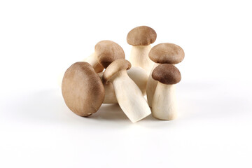Oringi mushroom or King trumpet mushroom or Royal oyster mushroom or Eringi mushroom, on a white background. a white background.