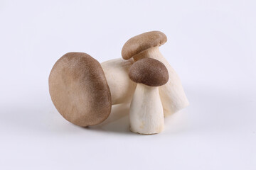 Oringi mushroom or King trumpet mushroom or Royal oyster mushroom or Eringi mushroom, on a white background. a white background.