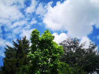 Obraz premium La Grande bellezza.Natura e panorama italiani.