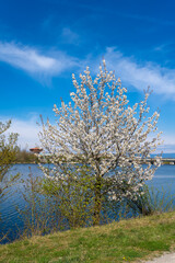 Staustufe | Schleuse Straubing in Niederbayern	