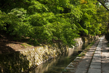 Pedestrian Path of Philosophy (or Philosopher's Walk) in Kyoto 