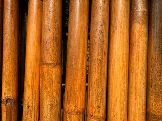 bamboo background