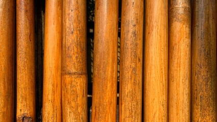 Bamboo fences  texture background