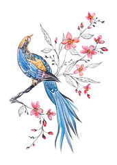 Watercolor illustration with a blue bird and a blooming cherry blossom. Realistic sketch of the drawing. Watercolor illustration.