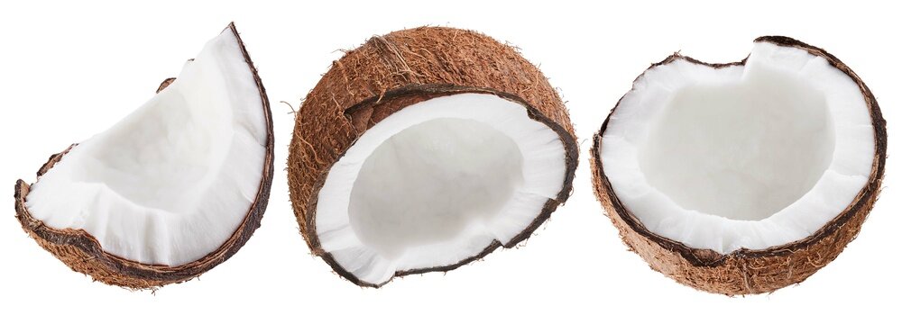Coconut collection set isolated on white background