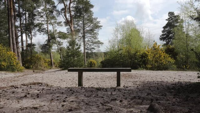 Bench in a public park outdoors on sandy heathland in Blackheath Surrey hills on sunny summer day