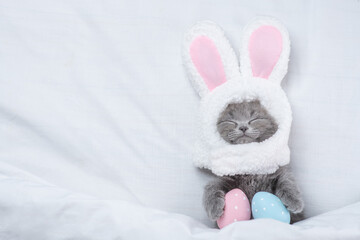 Funny kitten wearing easter rabbits ears sleeps with painted eggs on a bed under warm white blanket at home. Top down view. Empty space for text