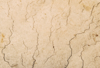 Old paper texture. Scratched cardboard background