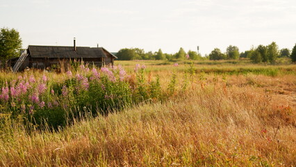 Beautiful rustic summer landscape with old wooden houses and hay in the field
