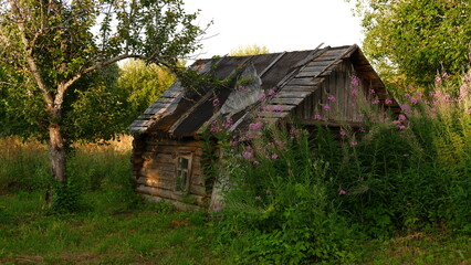 Beautiful rustic summer landscape. Old wooden log houses. Vologda region