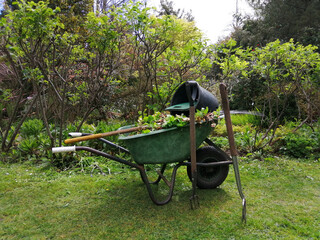 Gardening and work on the garden plot, cart with cut leaves of plants against the background of green grass, pitchfork, shovel, broom for cleaning.