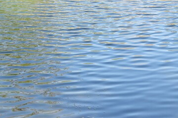 Light blue river water surface in Florida nature