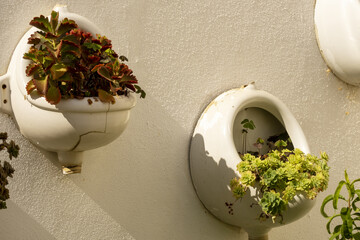 urinal converted into plant pot on a wall in the village of Estoi, Algarve, Portugal
