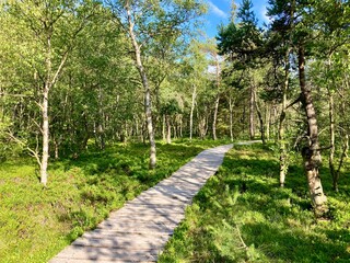 Schwarzes Moor in der Rhön