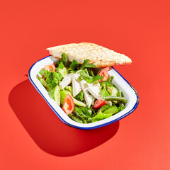Vegetarian green salad on trendy red background with hard shadow. Green bowl with vegetables and tofu in minimal style. Contemporary food menu. Healthy food in modern concept.
