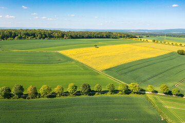 A bird's-eye view of a spring landscape in Taunus/Germany with blooming rapeseed fields