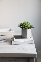 Stack of books with echeveria succulent plant in a gray ceramic pot on a beige table against a white wall. Scandinavian style. minimalism. Place for text
