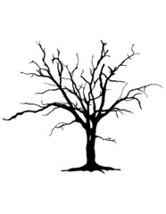 Tree silhouette on white background