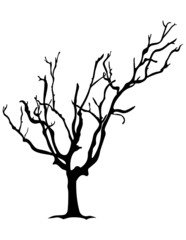 Tree silhouette on white background