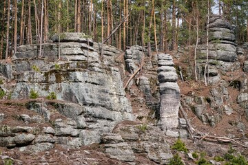 Sandstone rock in the forest. Beautiful nature panorama