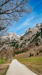 Alpenpanorama 