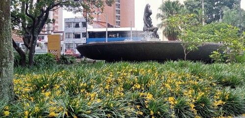 boat in the park