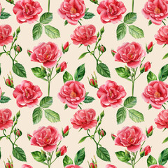 Vintage Seamless patterns of branches of roses, buds and leaves on an isolated background. Watercolor flowers