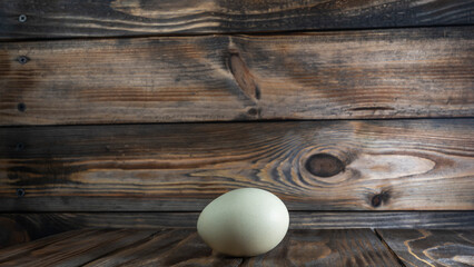 Araucana egg on wooden background. Light blue egg from Araucana chicken. Easter Festival concepts. Easter egg.