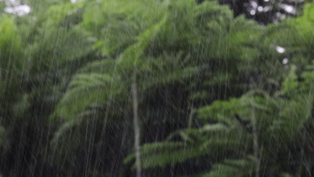 footage of defocused Rain water pouring down due to cyclonic storm and strong wind with blur Nature background