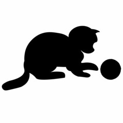 cat and ball