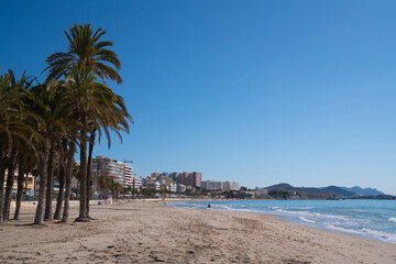 Palm trees sand and waves Villajoyosa beach Spain with Costa Blanca Alicante