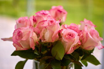 Fototapeta premium beautiful abstract background with flowers in blur dof.